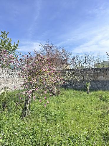 Bağ evlərinin kirayəsi: 85 kv. m, 3 otaqlı, Telefon, İşıq, Kanalizasiya — 14