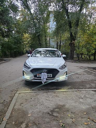 Hyundai Sonata: 2020 г., 2 л, Автомат, Газ, Седан