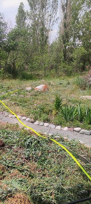 Продажа дач: Дом-дача с выходом к реке Ала-Арча — Таш-Добо (бывш. Воронцовка) 🌿 — 12