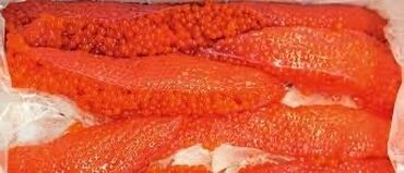 рыба семга: Икра в ястыках в день по 2 кг выходит цена 1300 сом за кг