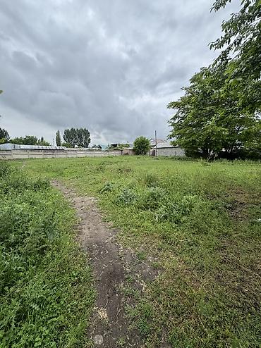 1 bedroom: 15 соток, Для строительства, Красная книга, Договор купли-продажи — 4