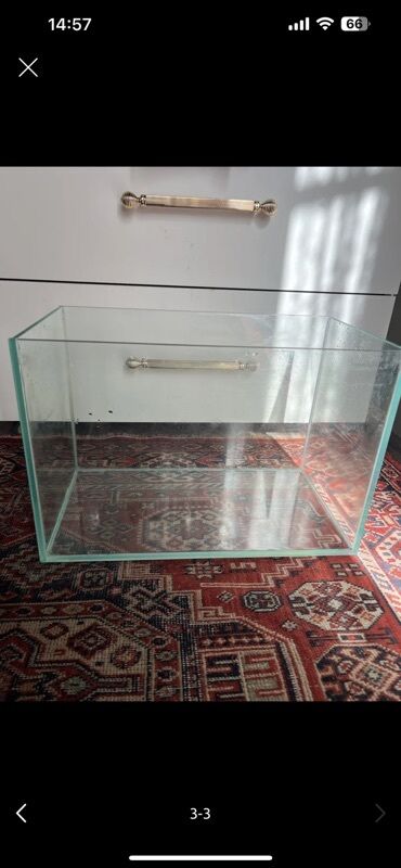 cuce ucun su qabi: Dördbucaq akvarium, Boş, 34 l, Ödənişli çatdırılma, Ünvandan götürmə