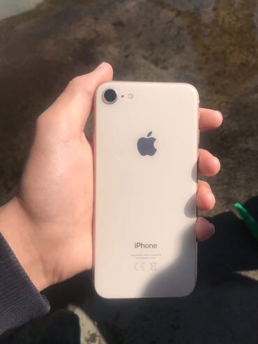 Apple iPhone: IPhone 8, Б/у, 64 ГБ, Чехол, 100 %