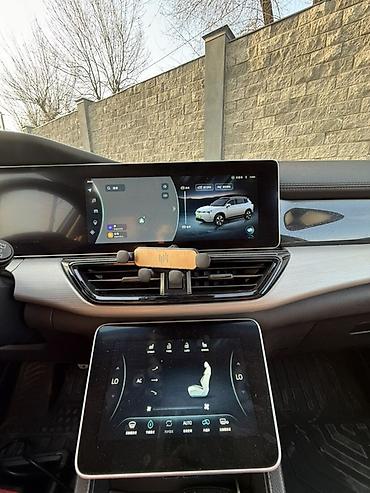 Weltmeister: Weltmeister W6, 2022 г. — 18