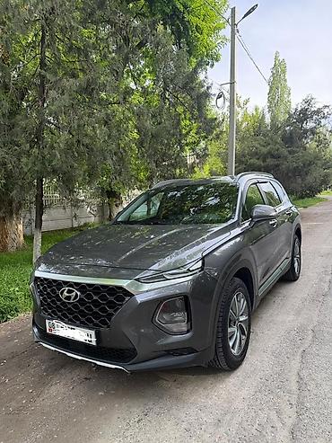 авто химии: Hyundai Santa Fe: 2019 г., 2 л, Автомат, Бензин, Кроссовер — 1