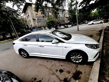 Hyundai: Hyundai Sonata: 2019 г., 2 л, Автомат, Газ, Седан