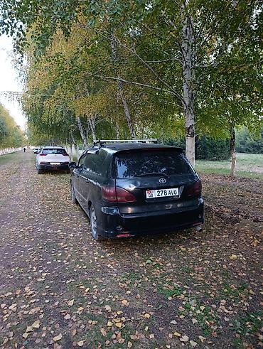 Toyota Ipsum: 2003 г., 2.4 л, Автомат, Бензин, Минивэн