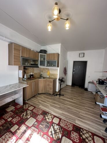 квартиры частные дома: 1 бөлмө, 20 кв. м, Малосемейка, 1 кабат, Евроремонт