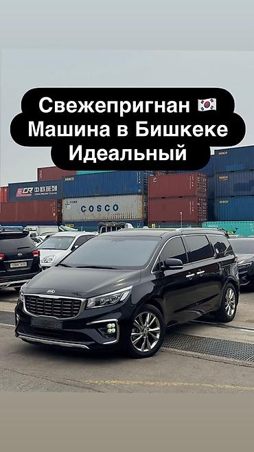 civic 1991: Kia Carnival: 2020 г., 2.2 л, Автомат, Дизель, Минивэн — 1