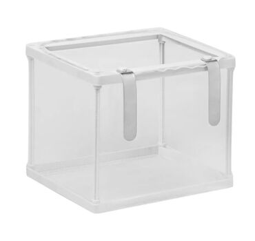 Аквариумы: Водоросли живые: Анубиас Бартера нана ( цветёт белыми и розовыми — 22