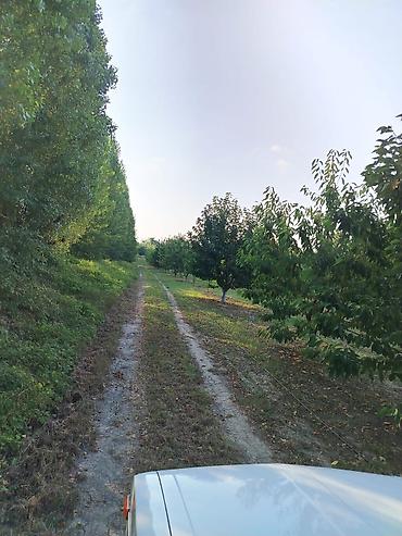 şəkidə torpaq: 180 sot Kənd təsərrüfatı, Su — 3