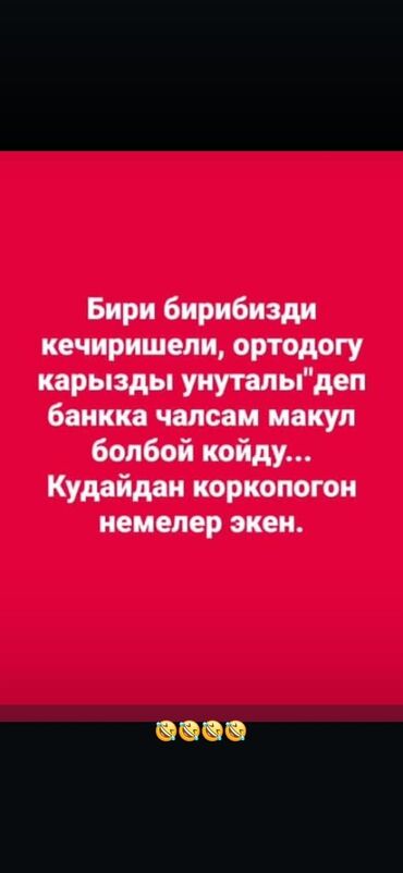 электро опрыскиватель: Уборка помещений, | Генеральная уборка, Уборка после ремонта, Уборка раз в неделю, | Офисы, Квартиры, Дома