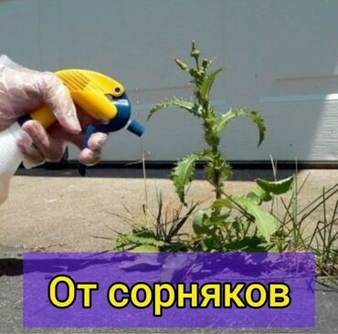 Спил деревьев, заготовка дров: 🌿 Обработка участка от сорняка!