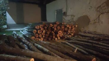 дрова лес: Дрова Тополь, Бесплатная доставка, Платная доставка
