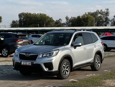 Subaru: Subaru Forester: 2019 г., 2.5 л, Вариатор, Бензин, Кроссовер — 3