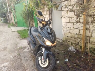 Mopedlər,skuterlər: - 150, 150 sm3, 2024 il, 25 km -da lalafo.az — 7 Mopedlər,skuterlər: - 150, 150 sm3, 2024 il, 25 km — 7