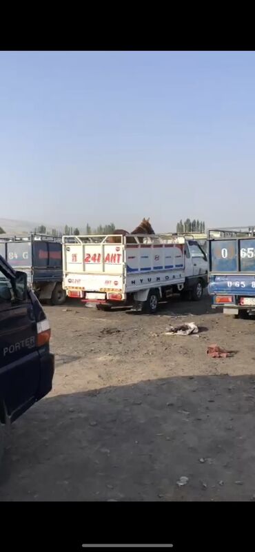 Услуги портера: Заказать Хендай портер, Другие опции — 5