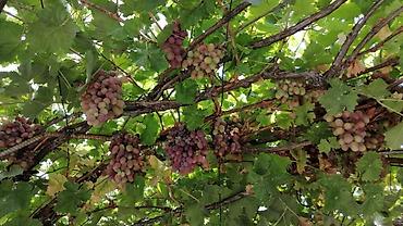 Продажа коттеджей и домов: Продаётся жилой дом — удобно, функционально, живописно! — 3