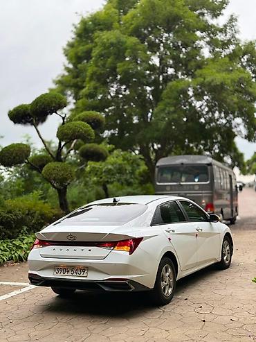 avante 7: Hyundai Avante: 2020 г., 1.6 л, Автомат, Бензин, Седан — 5