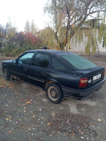опель вектра а: Opel Vectra: 1993 г., 1.6 л, Механика, Бензин, Хетчбек lalafo.kg да опель вектра а: Opel Vectra: 1993 г., 1.6 л, Механика, Бензин, Хетчбек