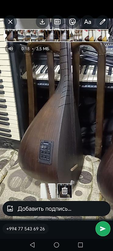 Музыкальные инструменты: Ekvalayzerli saz — 1
