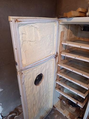 İnkubatorlar: Bütün növ quşlaq üçün — 2