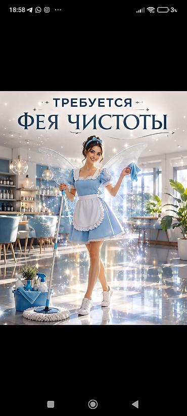 клининг бишкек работа: В нашу команду нужна фея чистоты - Комплексная уборка - Влажная и — 1