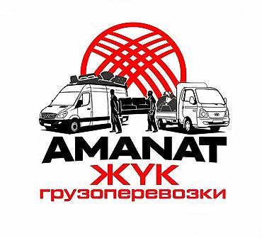 Легкий грузовой транспорт: Легкий грузовик, Hyundai, Стандарт, 3 т — 6