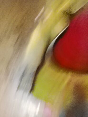 Gitare: Archtop akustična gitara sa F-otvorima - Telo: šuplje archtop telo sa — 5