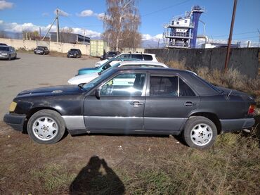 Mercedes-Benz: Mercedes-Benz W124: 1989 г., 2.5 л, Механика, Дизель, Седан