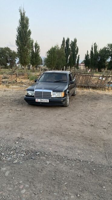 массажер для автокресла: Mercedes-Benz W124: 1991 г., 2.3 л, Механика, Бензин, Седан
