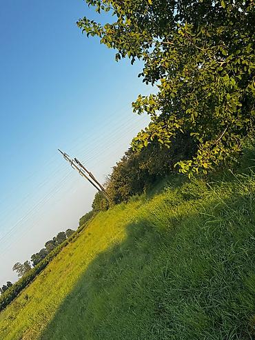 yeni əmlak az: 237 sot, Kənd təsərrüfatı, Mülkiyyətçi, Kupça (Çıxarış) — 5