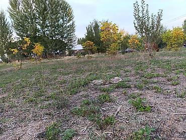 Продажа участков: 6 соток, Для строительства, Красная книга, Договор купли-продажи — 7