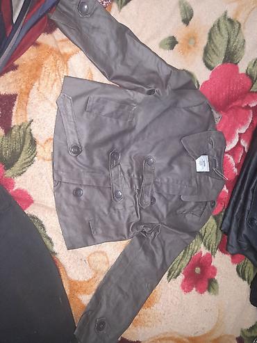 Ветровки: Актуально,без лишних вопросов.Продаются 4 куртки весна- осень,тонкие — 10