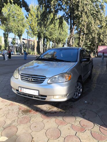 тайота карола 2022: Toyota Corolla: 2004 г., 1.8 л, Автомат, Газ, Седан