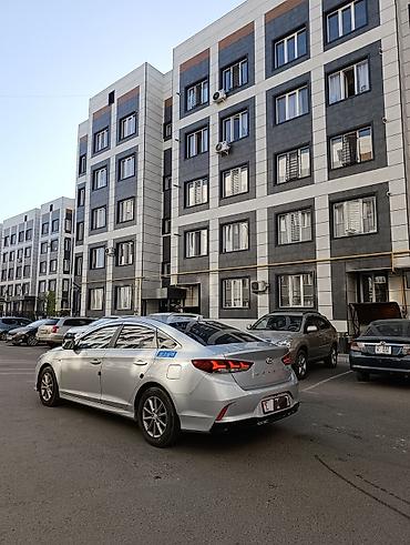 highlander 2012: Hyundai Sonata: 2019 г., 2 л, Автомат, Газ, Седан — 5