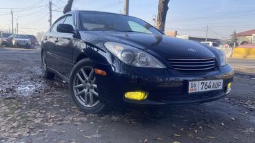 тайота жх: Toyota Windom: 2002 г., 3 л, Автомат, Бензин, Седан