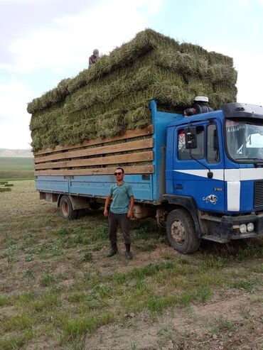жол тандабас унаалар: Жүк ташуучу унаа, MAN, Стандарт, 7 т, Колдонулган