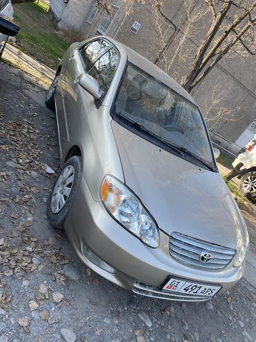 тайота саролла: Toyota Corolla: 2004 г., 1.8 л, Автомат, Бензин, Седан