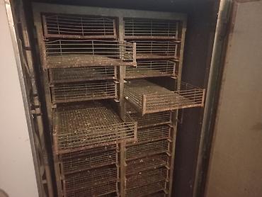 Инкубаторы: Промышленный инкубаторный комплекс для птицеводства. - Камерный — 9