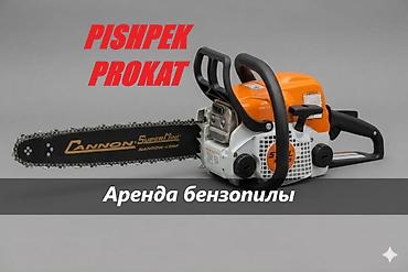 бензапила аренда: БЕНЗОПИЛА В АРЕНДУ аренда бензопилы прокат бензопилы бензопила на — 1