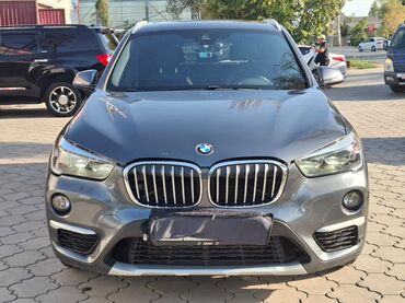 решетка на виндом: BMW X1: 2019 г., 2 л, Автомат, Бензин, Внедорожник