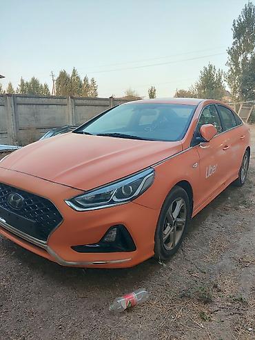 бант для машины: Hyundai Sonata: 2020 г., 2 л, Автомат, Газ, Седан — 4