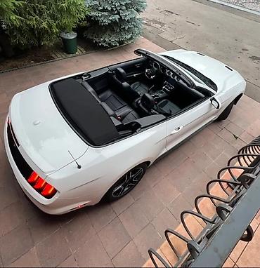 Частная аренда авто: Прокат кабриолетов – почувствуйте свободу на дороге! ☀🏎️💨 Мечтали — 4