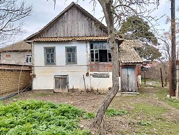 hovsan ev satilir: Cəlilabad Rayon 60 Sot Həyət evi satılır. Şəkillərdə görünən ev — 3