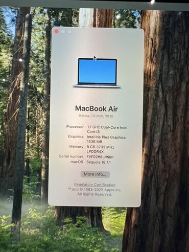 Apple MacBook: Apple MacBook, 13.3 ", Apple M1, 256 GB — 10