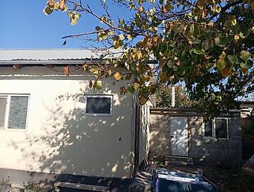 продаю дом бишкек арча бешик: Продаётся одноэтажный дом с хозяйственными постройками и навесом во — 1
