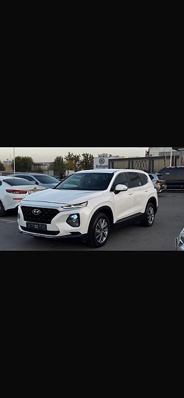 fit rs: Hyundai Santa Fe: 2019 г., 2 л, Автомат, Бензин, Кроссовер — 6
