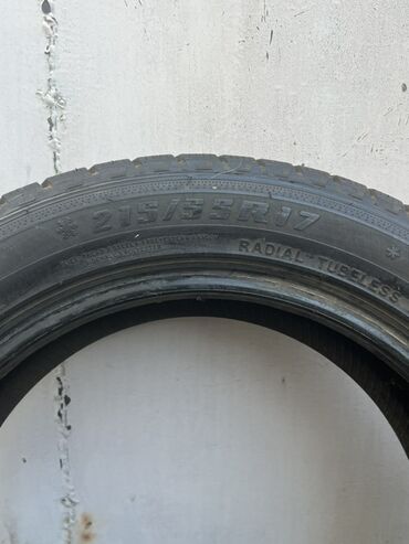 купить докатку r17: Зимние шины 215/55 R17, радиальные, бескамерные (Radial Tubeless)