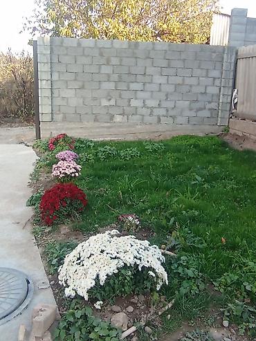 бутка бишкек: Участок с благоустроенным двором и современным одноэтажным строением — 3